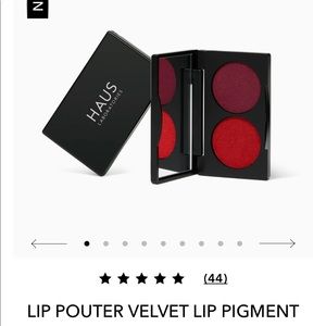 NEW Haus Labs Lip Pouter Velvet Lip Pigment